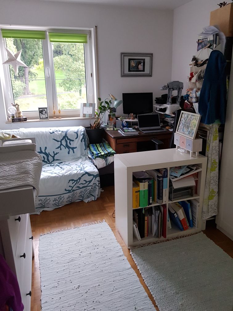 Arbeitszimmer1 Etagenwohnung Darmstadt