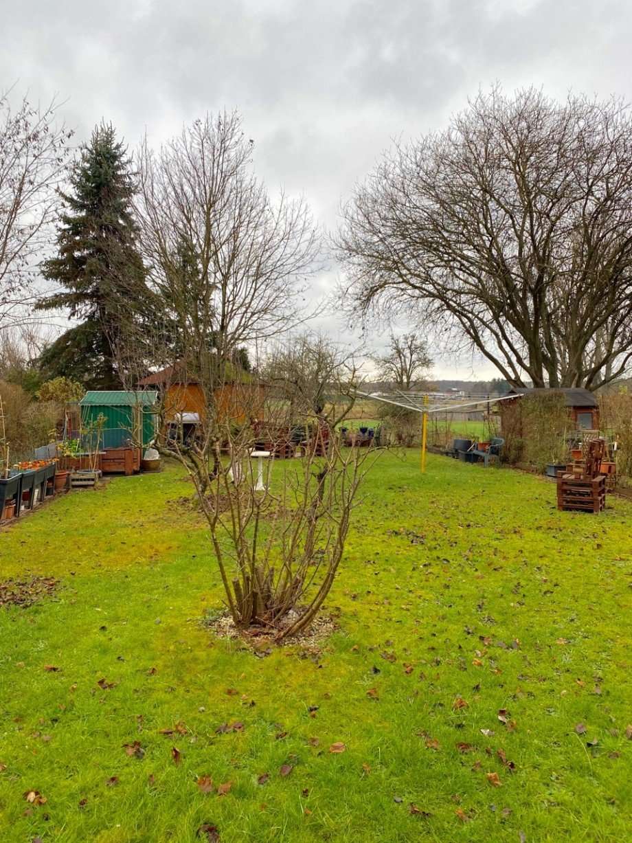 Garten Dachgeschosswohnung Rossdorf
