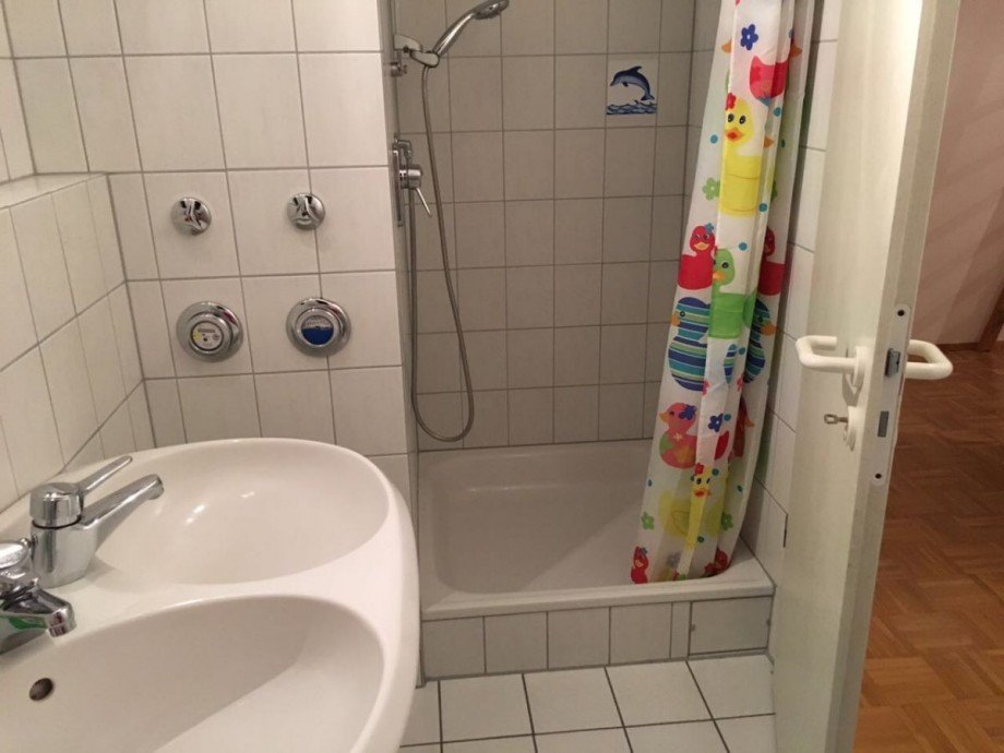 Tageslicht Bad mit Dusche Dachgeschosswohnung Ober-Ramstadt