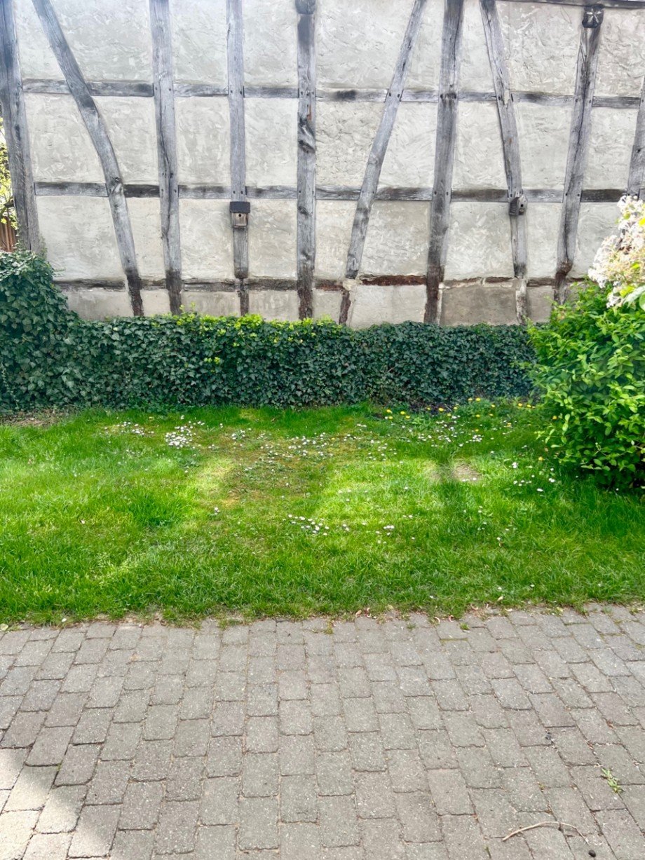 Au�enbereich Reihenmittelhaus Darmstadt