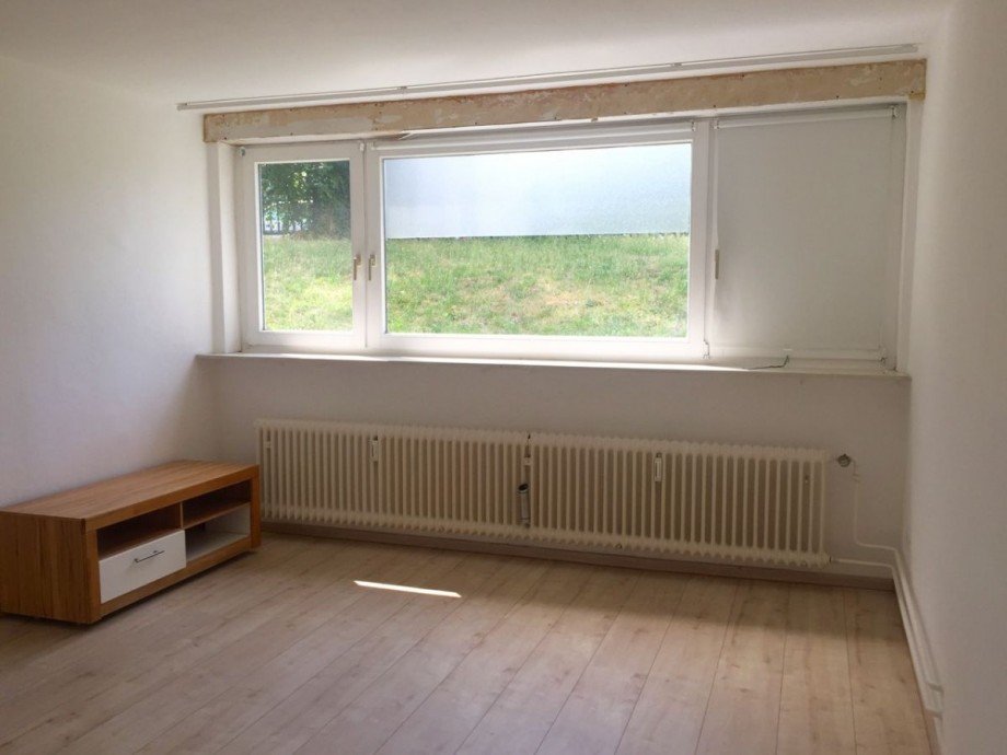 Wohnzimmer Souterrainwohnung Darmstadt