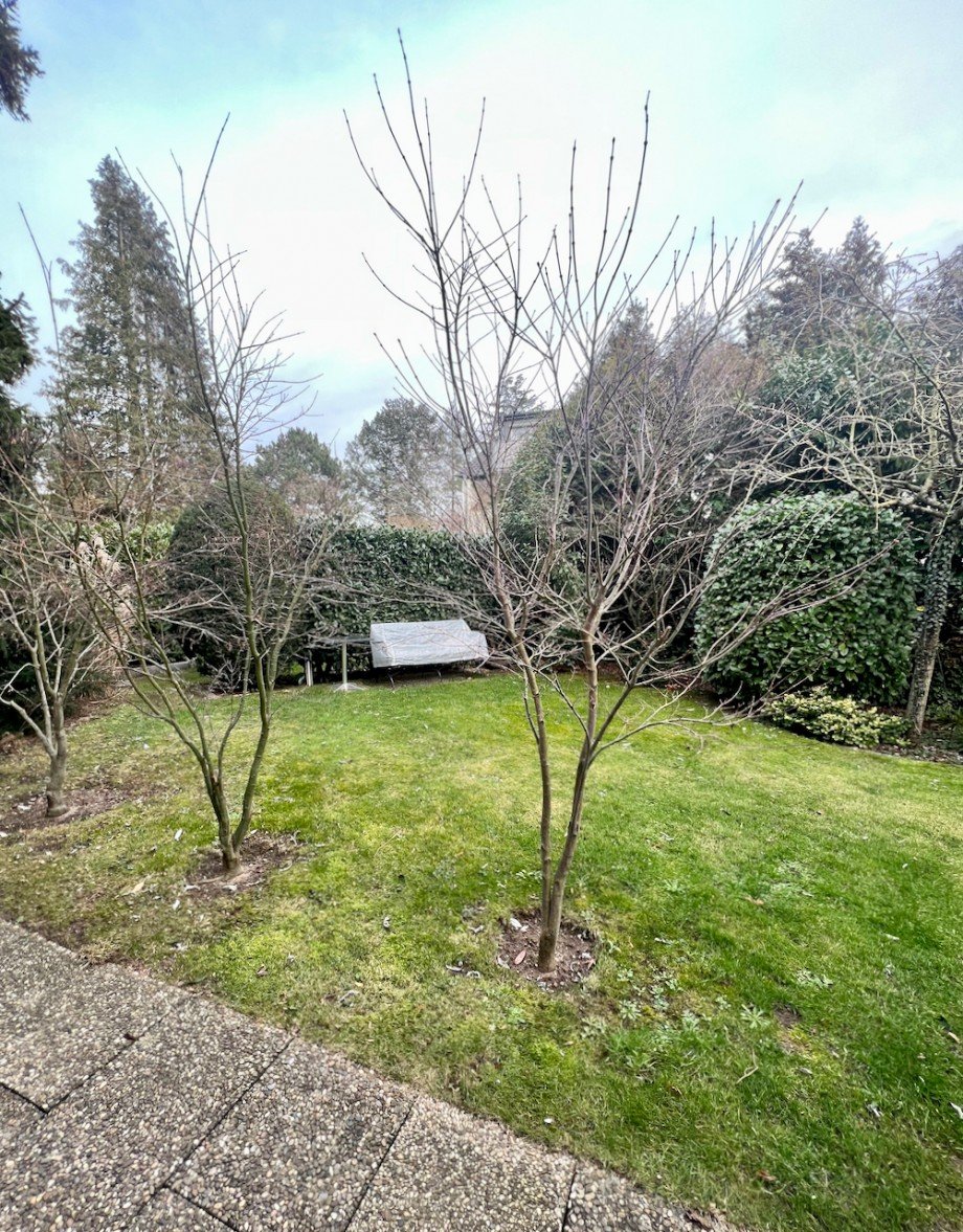 Garten Souterrainwohnung Darmstadt