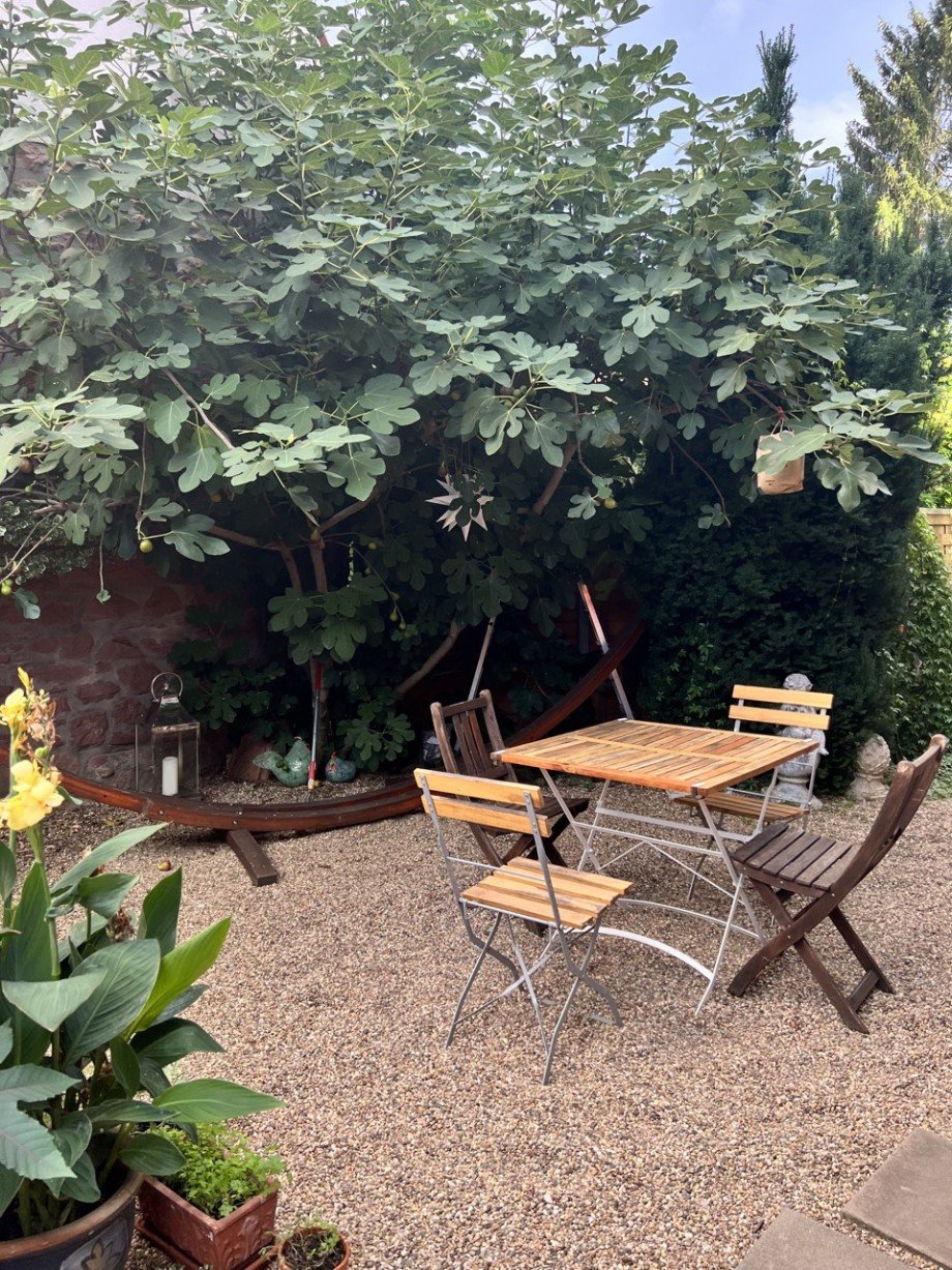 Au�enbereich Doppelhaush�lfte Dieburg