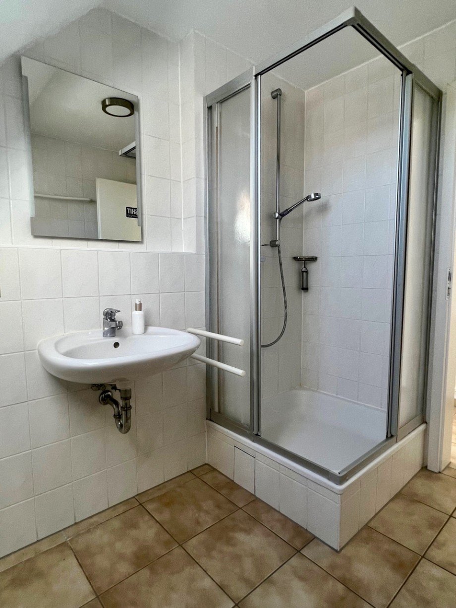 Tageslicht Duschbad Dachgeschosswohnung Darmstadt