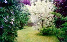 Garten Eine Rarit�t auf dem Immobilienmarkt - Charmanter Bungalow in ruhiger Lage im Steinbergviertel