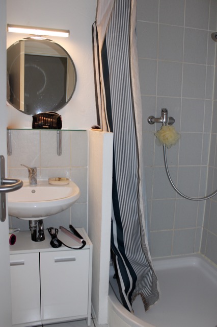 Duschbad kleine Wohnung Hinterhaus Erdgeschosswohnung Darmstadt