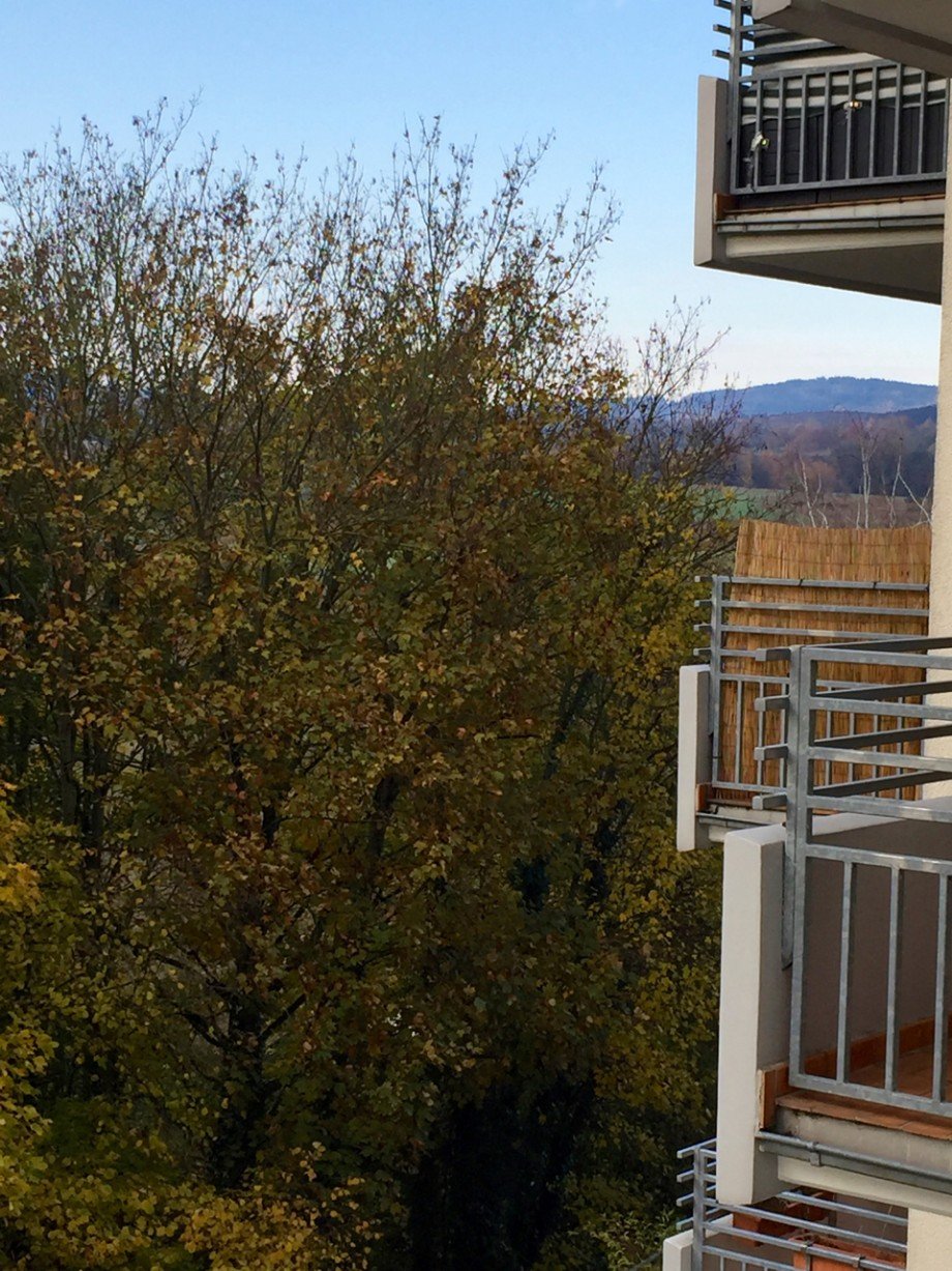 Aussicht Liederbach 3 Zimmer Wohnung Etagenwohnung Liederbach