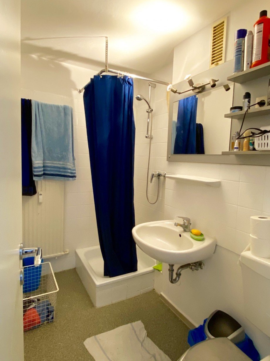 Duschbad Etagenwohnung Darmstadt