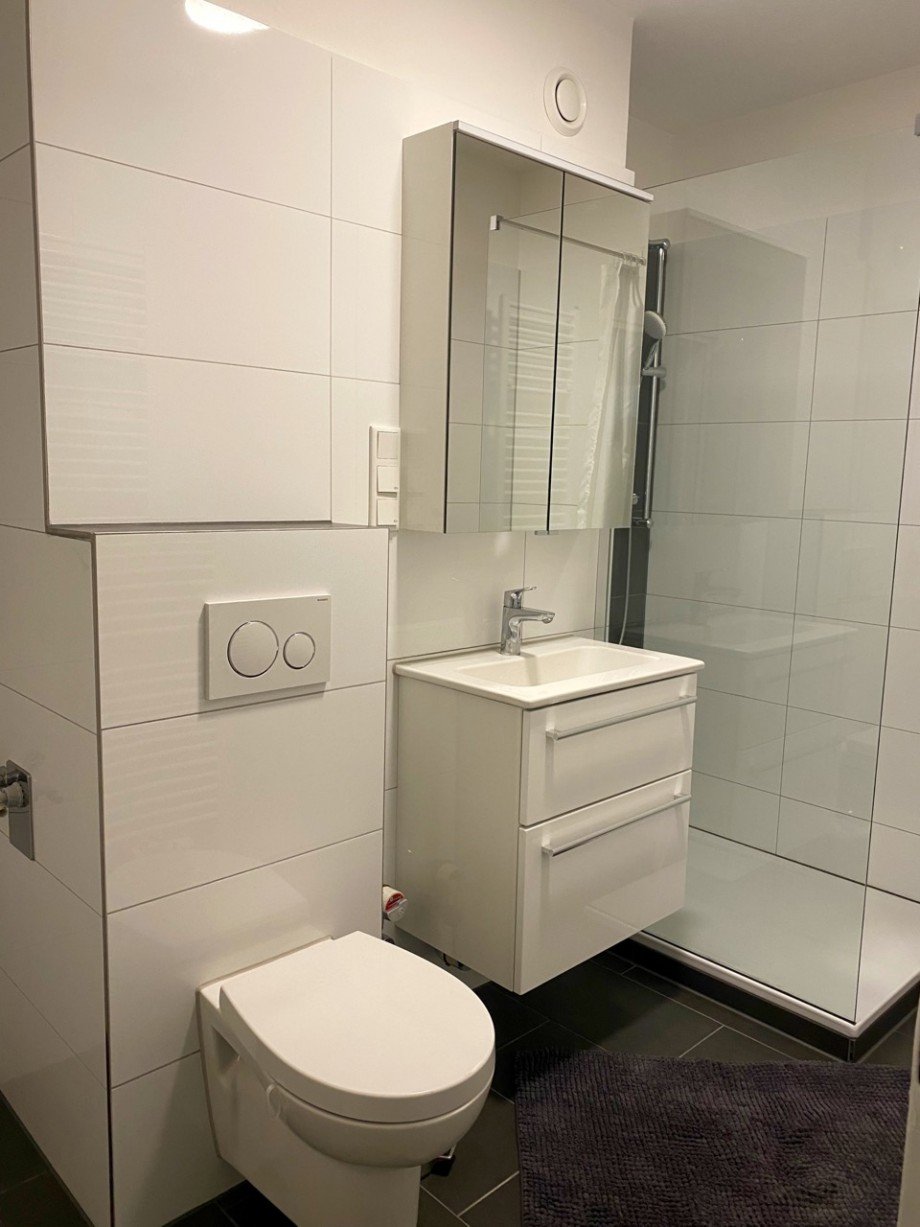Duschbad Etagenwohnung Darmstadt