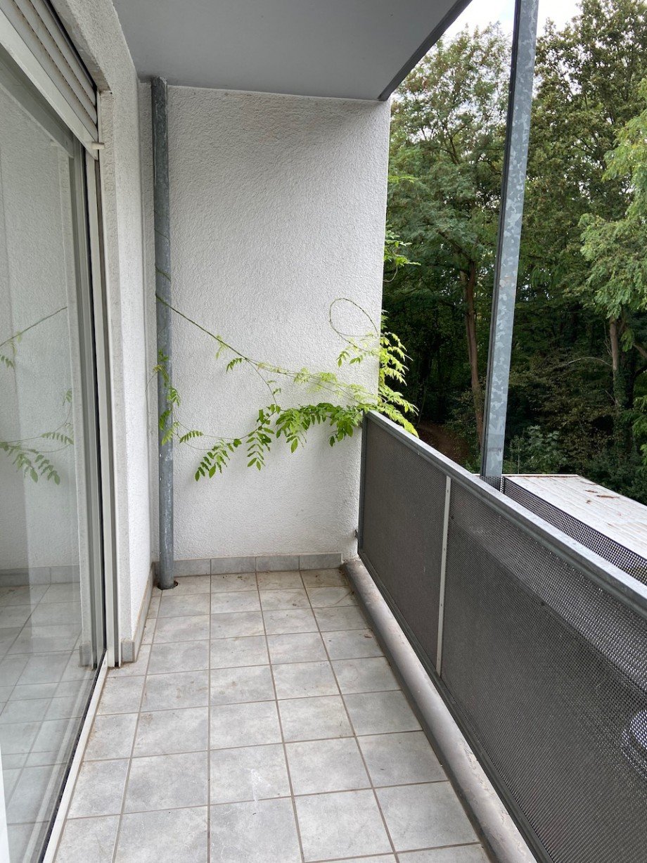 Balkon Etagenwohnung Darmstadt