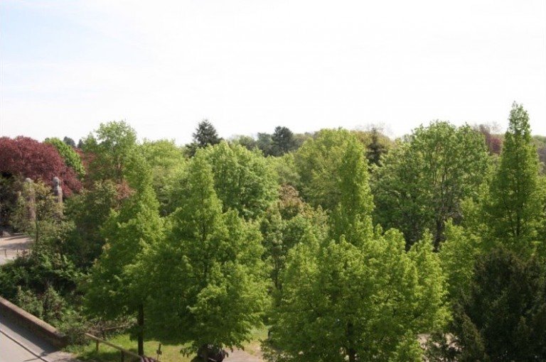 Aussicht Darmstadt Etagenwohnung Darmstadt an der Rosenh�he