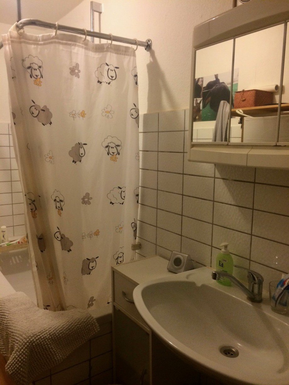 Badezimmer Etagenwohnung Darmstadt