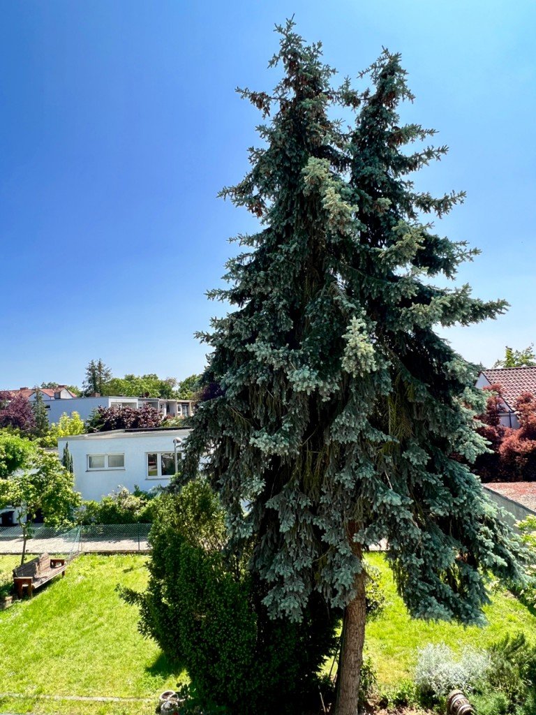 Garten Darmstadt Dachgeschosswohnung Gepflegte 3 Zimmer Wohnung in ruhiger Lage - ab sofort!