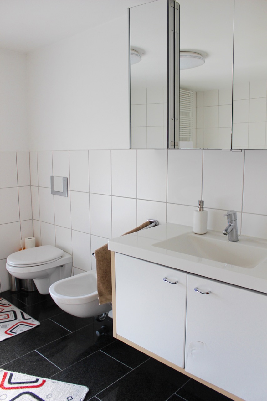 Tageslichtbad Maisonettewohnung Darmstadt