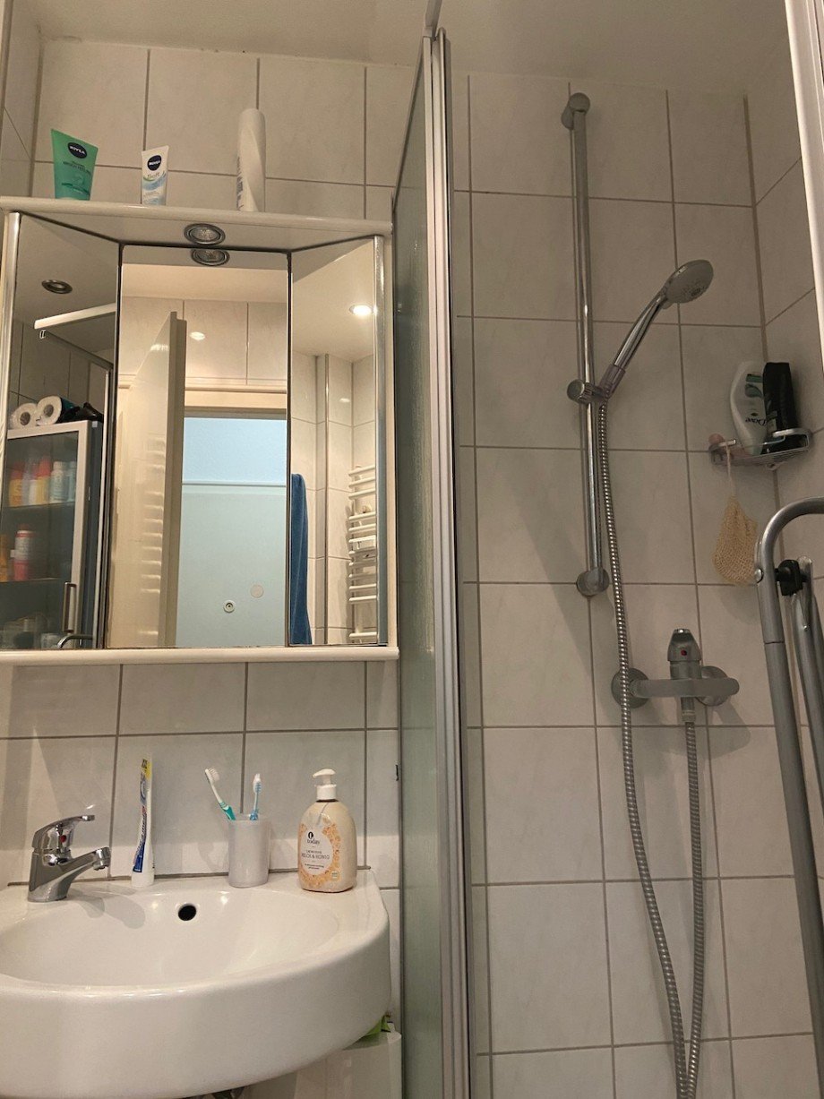 Duschbad Dachgeschosswohnung Darmstadt