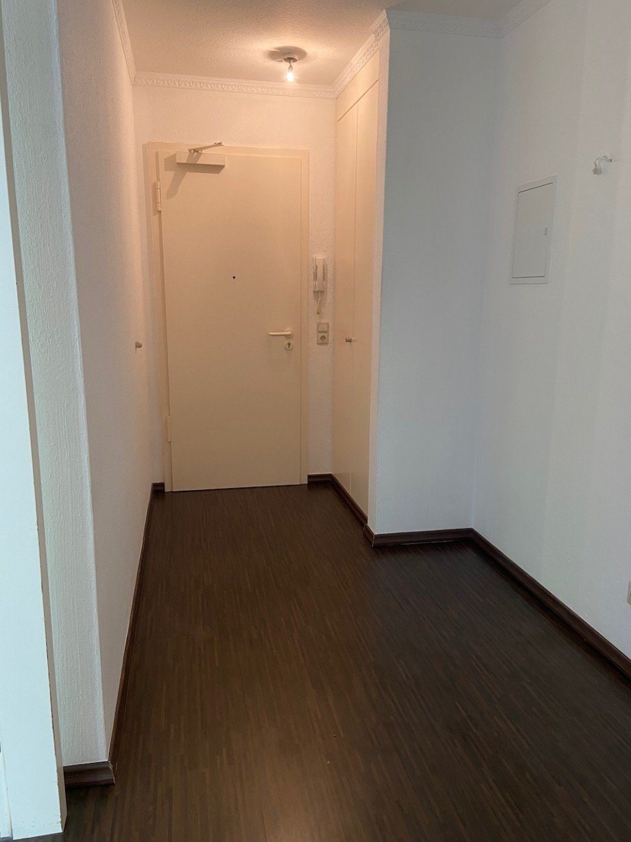 ger�umige Diele Etagenwohnung Darmstadt