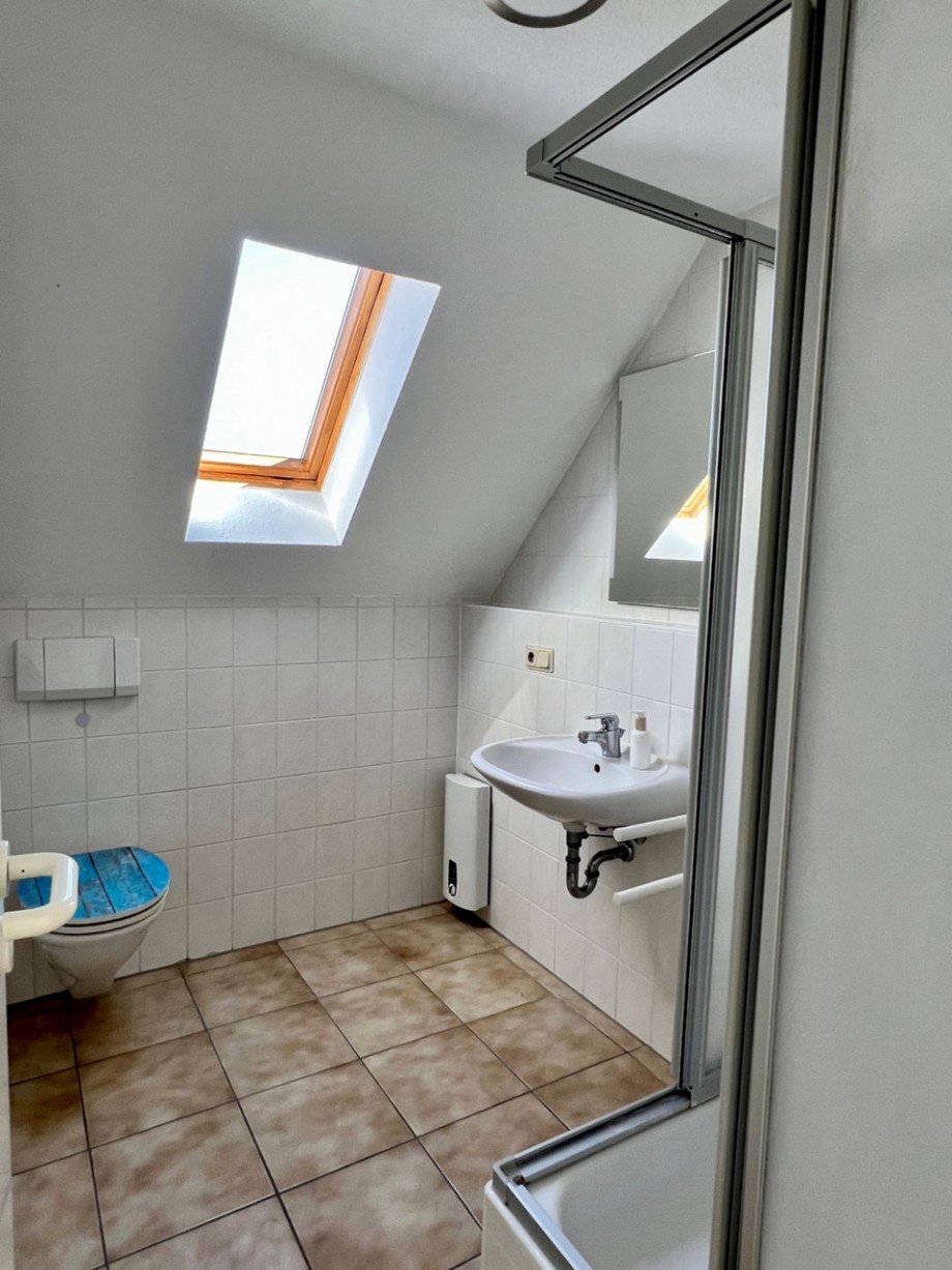Tageslicht Duschbad Dachgeschosswohnung Darmstadt
