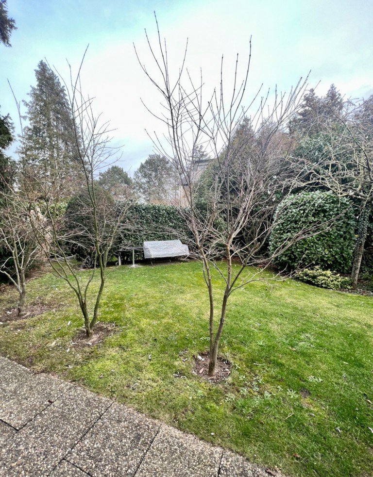 Garten Darmstadt Souterrainwohnung *Gro�e 2 Zimmer Wohnung mit Terrasse in ruhiger Lage*