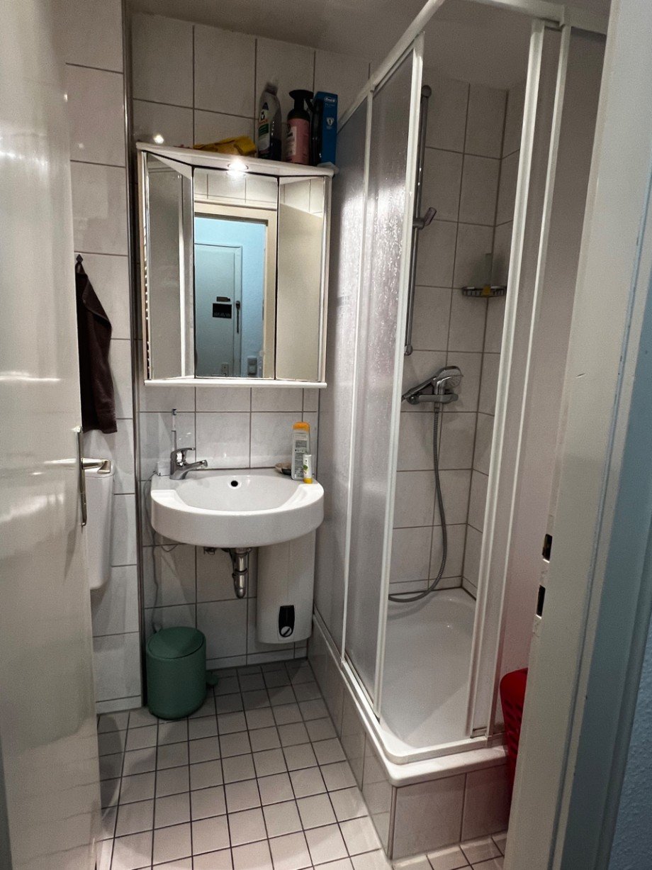 Duschbad Dachgeschosswohnung Darmstadt