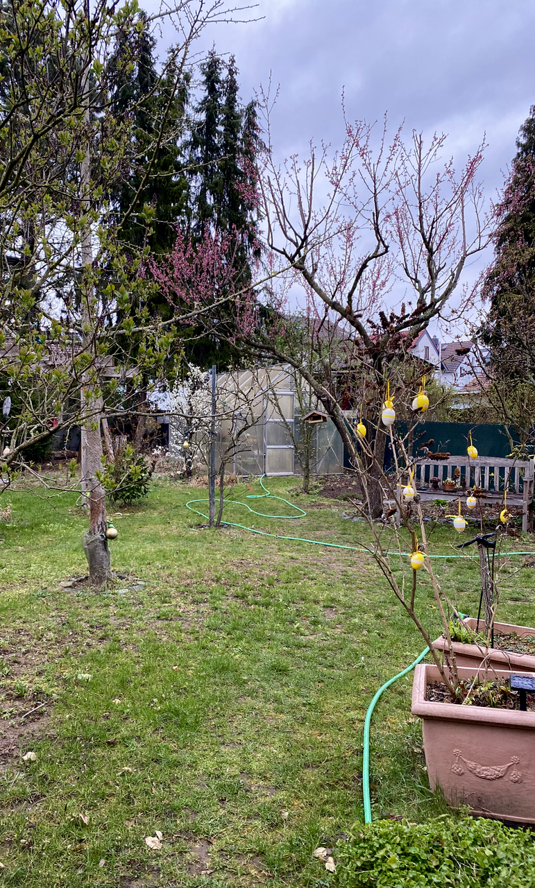 Garten Doppelhaush�lfte Darmstadt