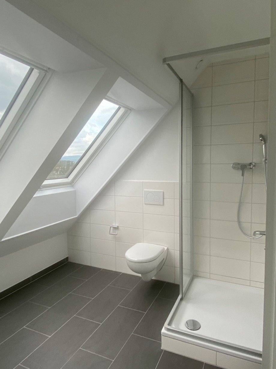 Tageslichtbad Dachgeschosswohnung Mainz