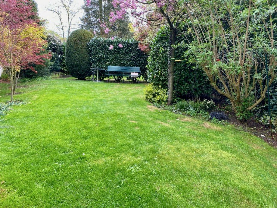 Racano Immobilien_Garten zur gem. Nutzung Souterrainwohnung Darmstadt