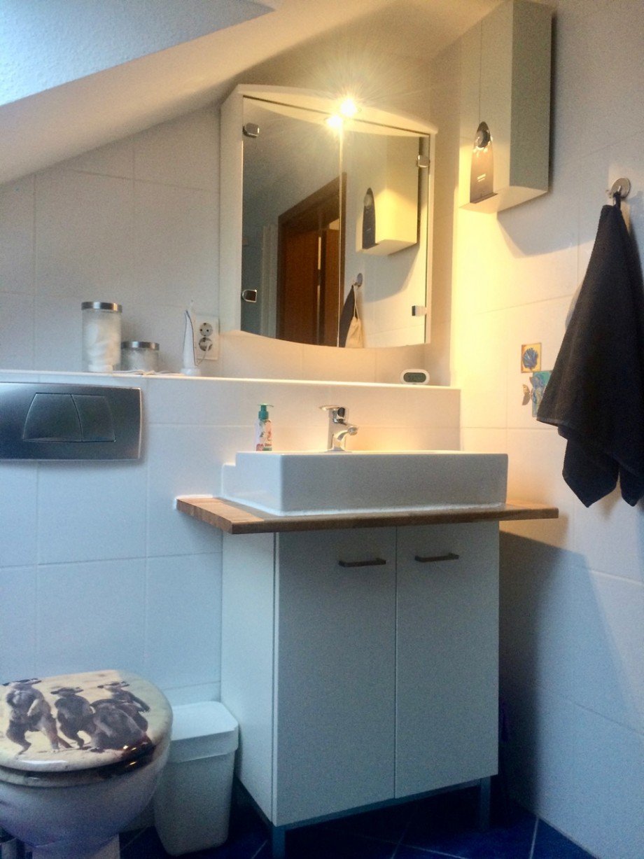 Tageslichtbadezimmer mit Dusche Dachgeschosswohnung Erzhausen