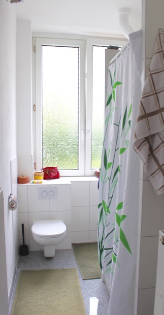 Tageslicht Duschbad Erdgeschosswohnung Darmstadt