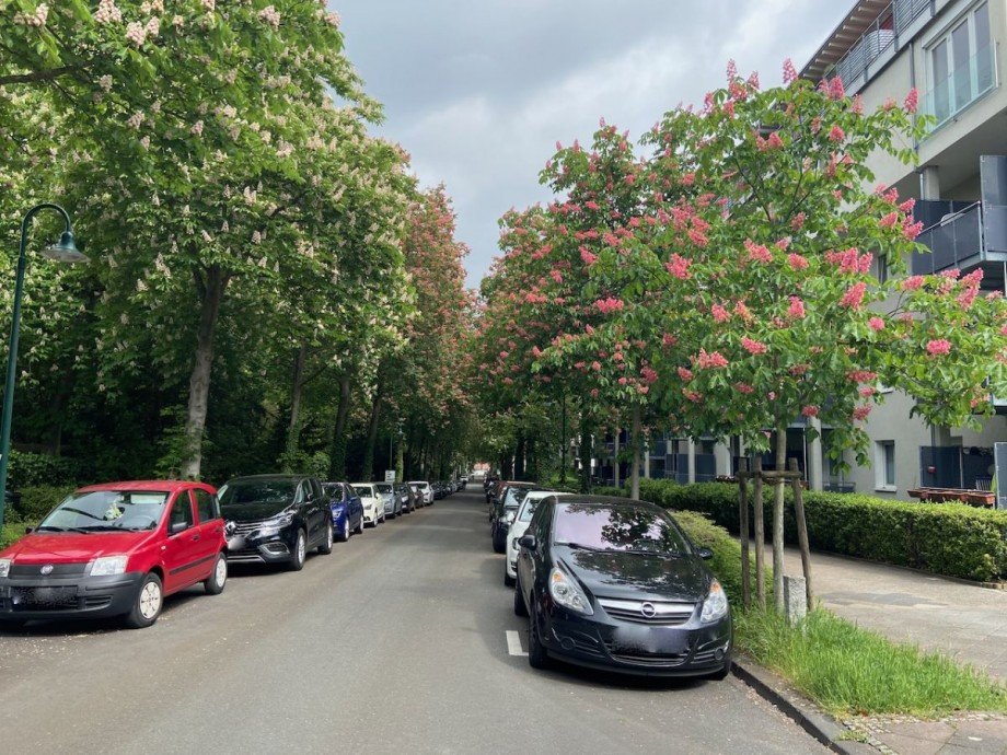 Ansicht - ruhige Seitenstra�e Etagenwohnung Darmstadt