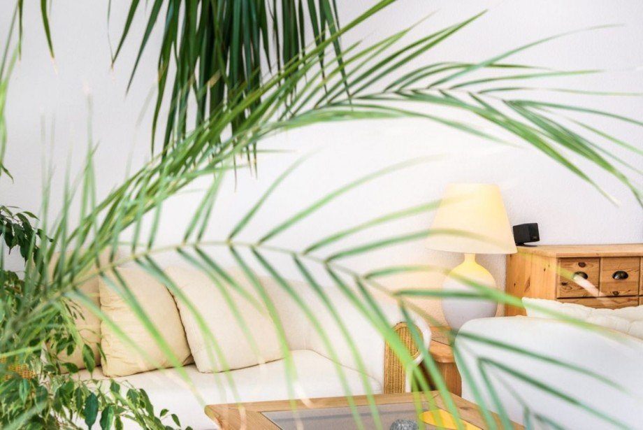 Wohnzimmer Etagenwohnung Seeheim-Jugenheim