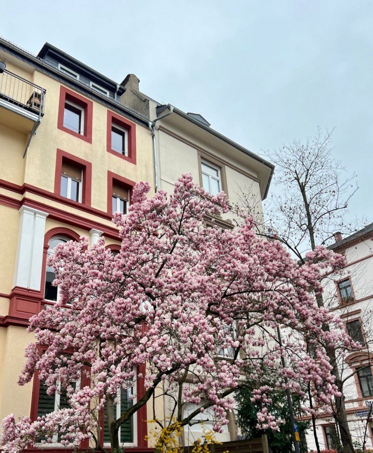 Darmstadt Racano Immobilien Egelsbach Erdgeschosswohnung Vermieten oder einziehen - Hier ist beides m�glich!