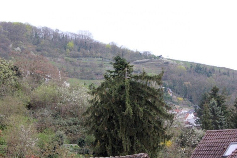 Aussicht Zwingenberg Etagenwohnung Mit Blick auf die Bergstr. - 2 Zimmer Wohnung als Kapitalanlage oder zur Selbstnutzung