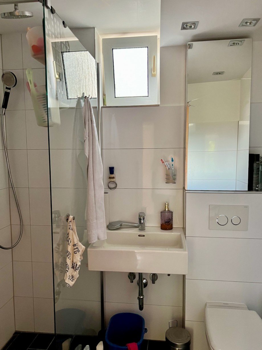 Tageslicht Duschbad Souterrainwohnung Darmstadt