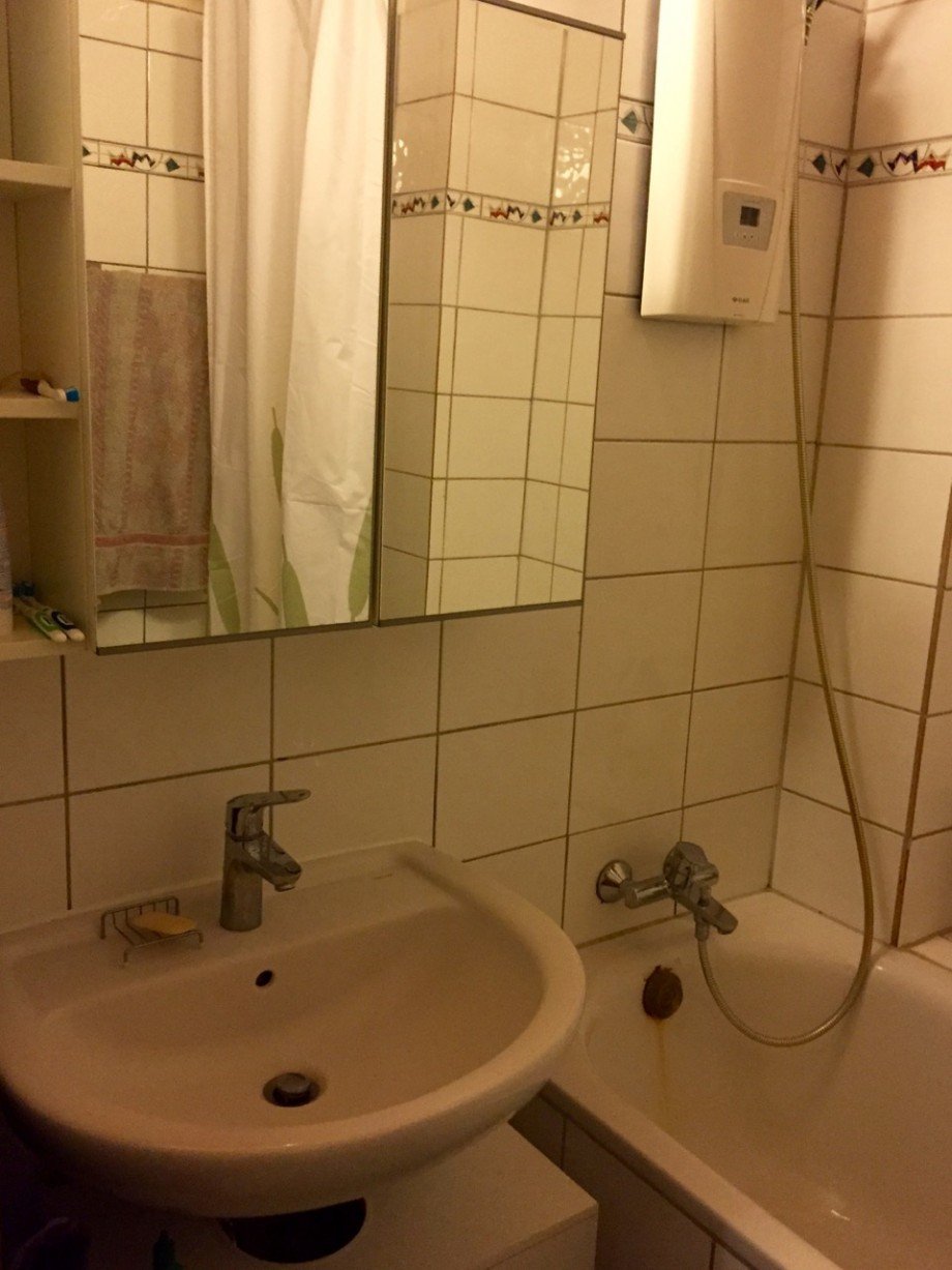 Badezimmer Erdgeschosswohnung Darmstadt