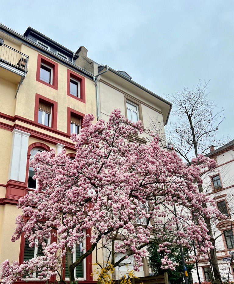 Beispielbild Racano Immobilien Darmstadt Mehrfamilienhaus Kapitalanlage mit Perspektive im gefragten Darmst�dter Viertel!