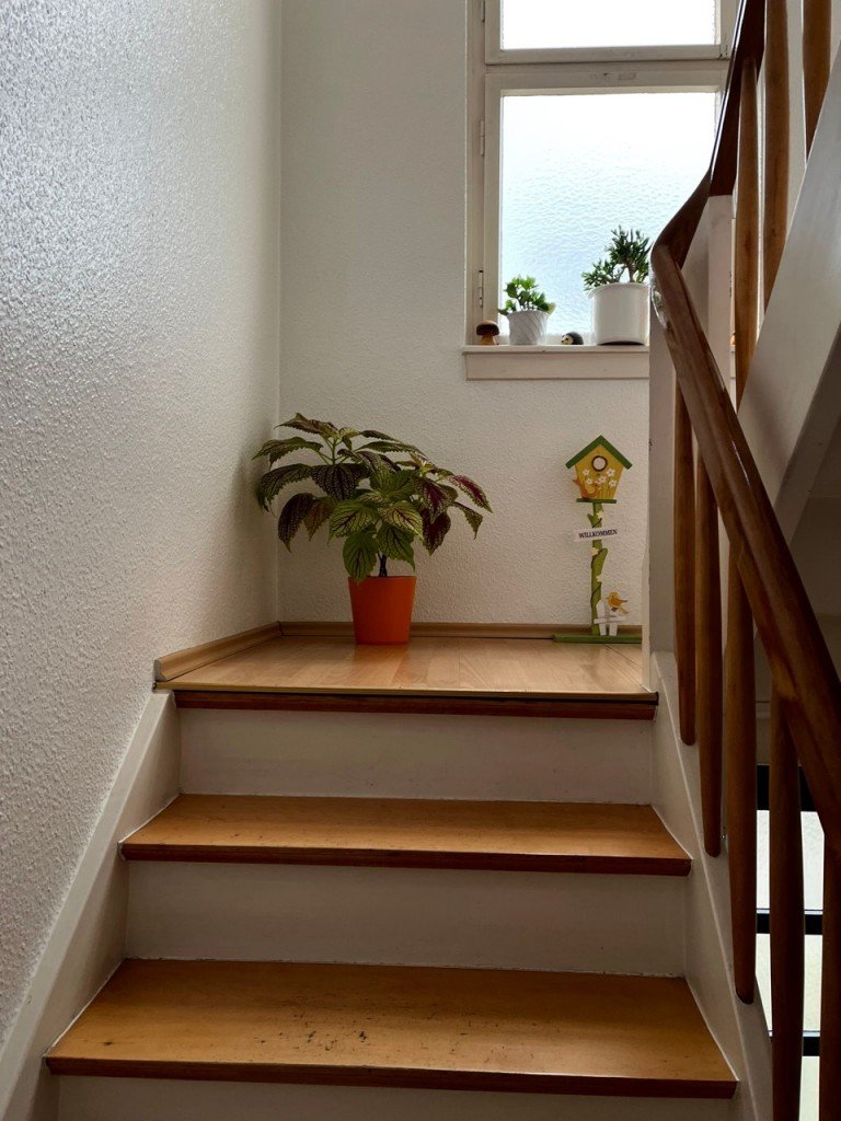 Mehrfamilienhaus Beispiel Offenbach Mehrfamilienhaus Entspannt vermieten