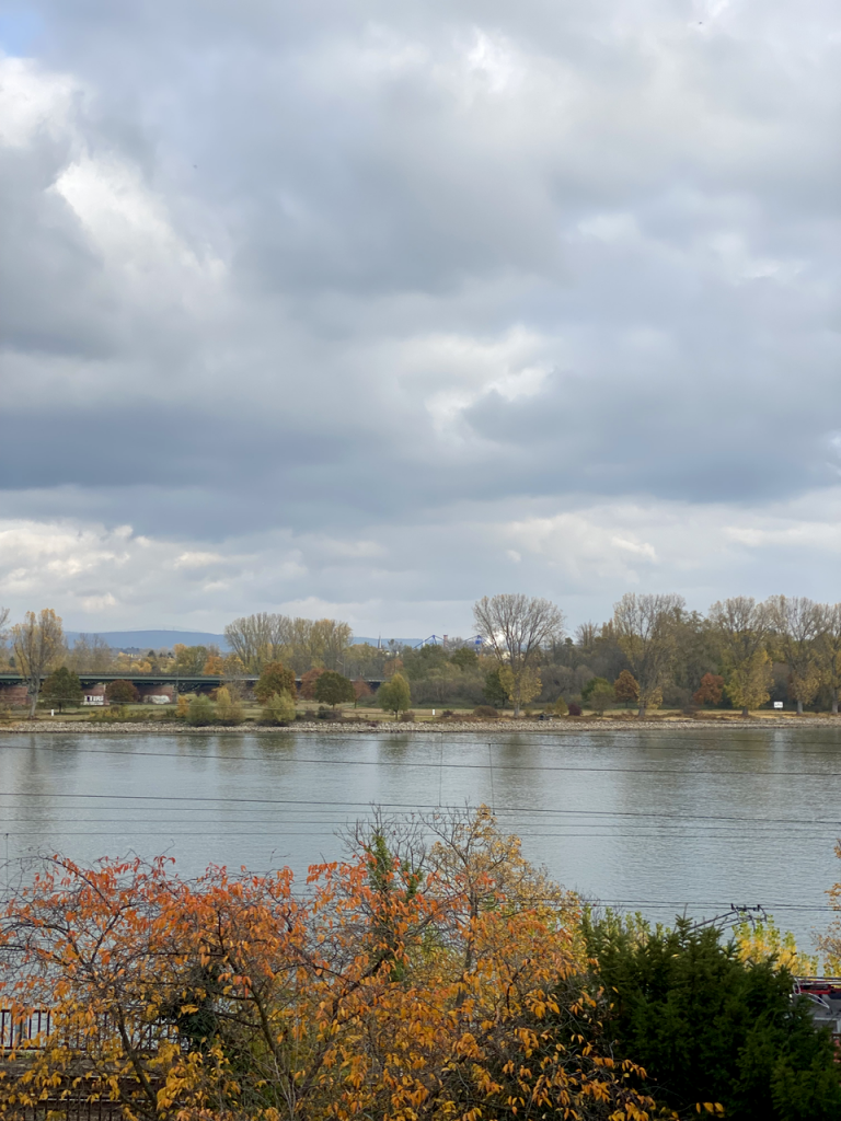 Blick aus dem Wohnzimmer Mainz Maisonettewohnung Rheinblick inklusive!