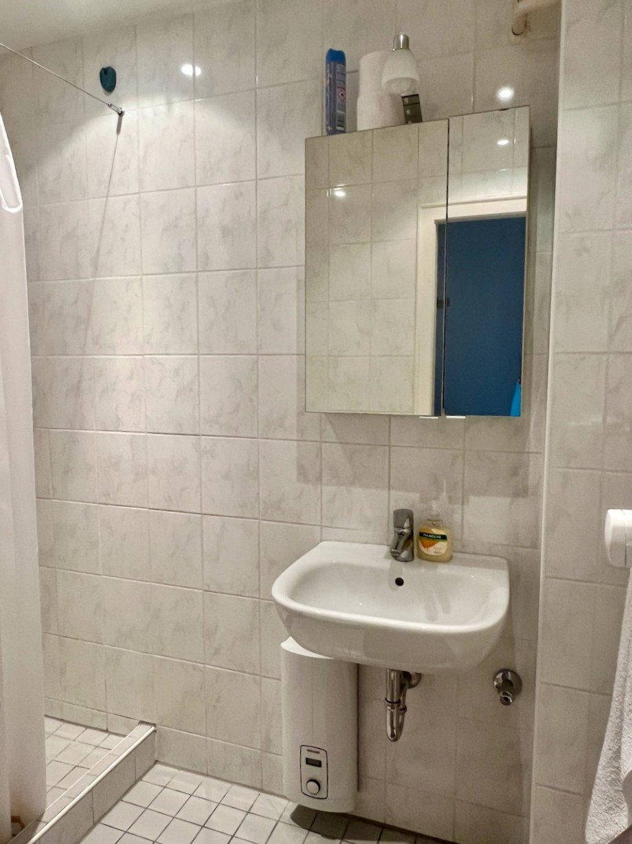 Duschbad Erdgeschosswohnung Darmstadt