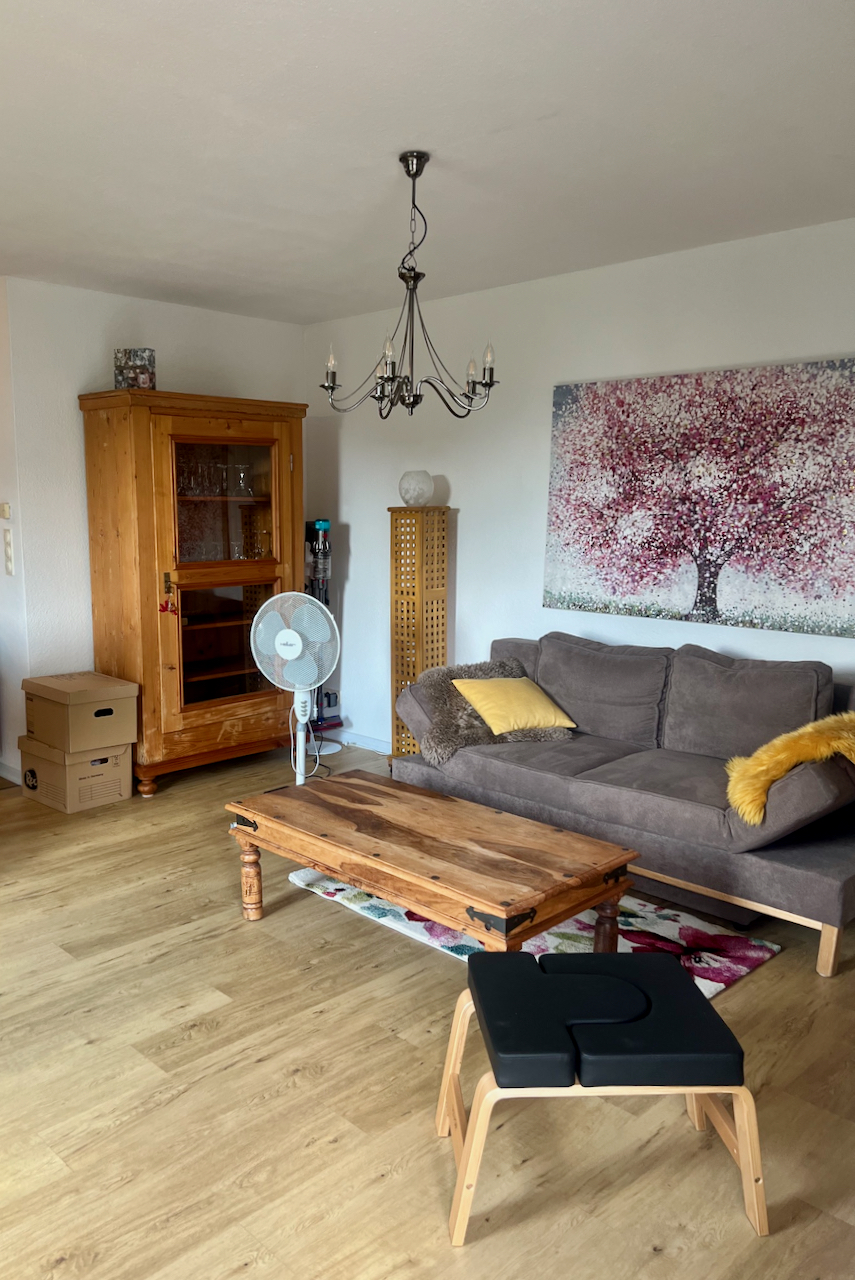 Wohnzimmer 4 Racano Immobilien Etagenwohnung Darmstadt