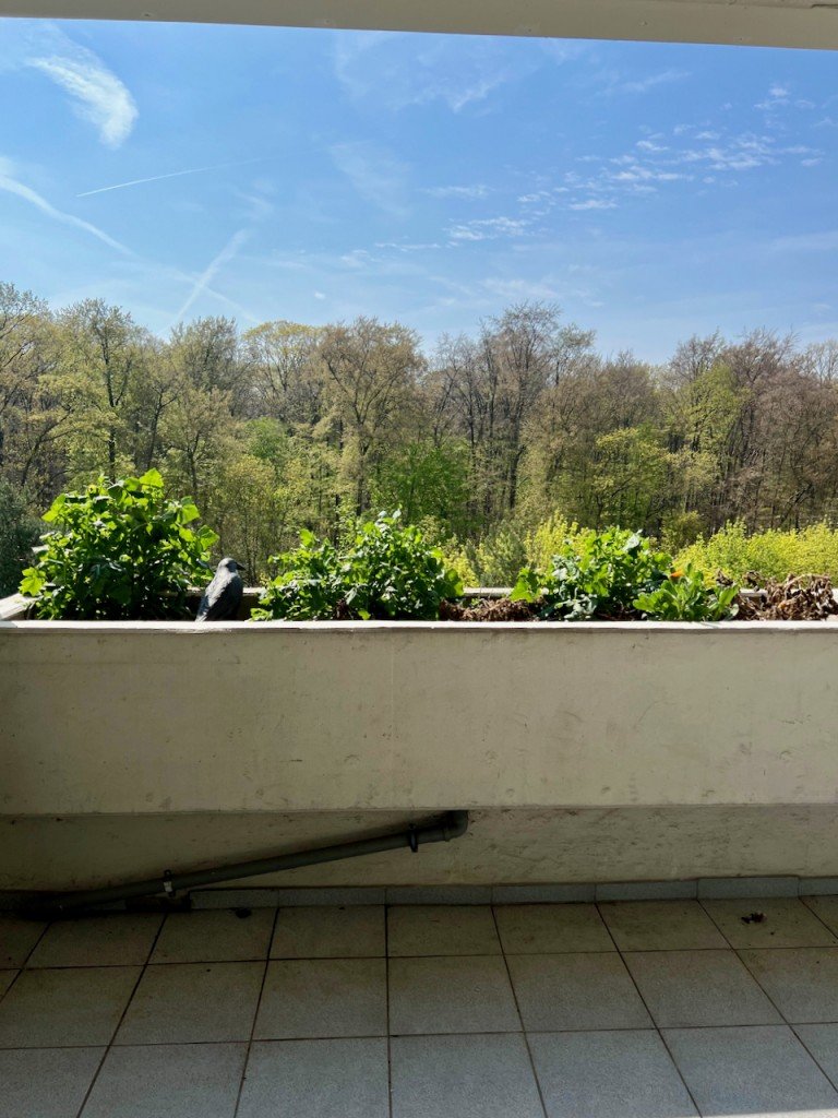 Siemensstr. Balkon Racano Immobilien Darmstadt Etagenwohnung Einziehen oder Vermieten - Beides ist m�glich