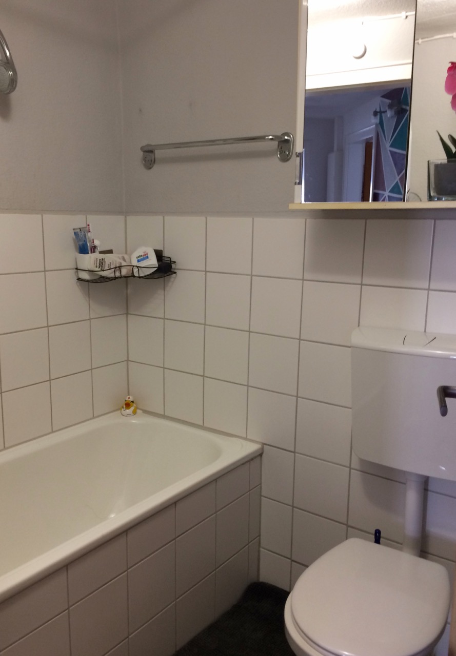 Badezimmer Dachgeschosswohnung Darmstadt