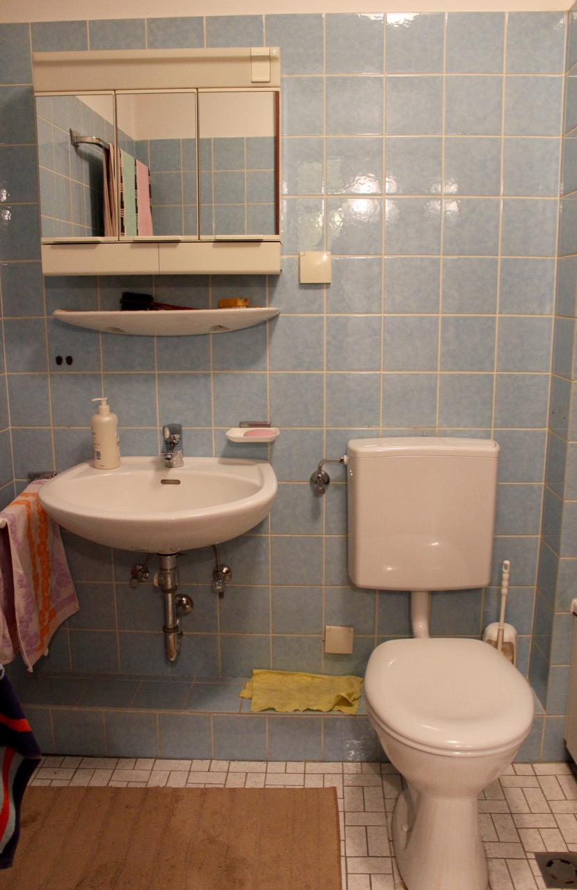 Bad Erdgeschosswohnung Darmstadt