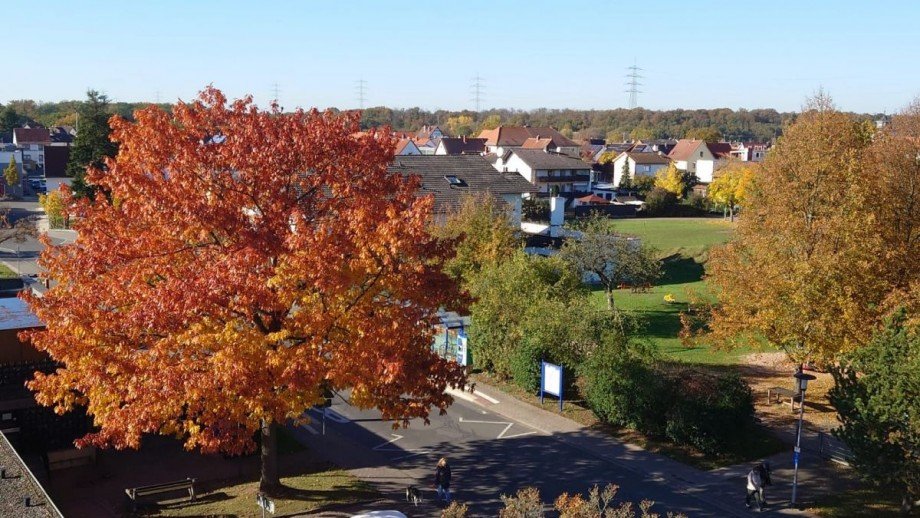 Racano Immobilien Ausblick Etagenwohnung Messel